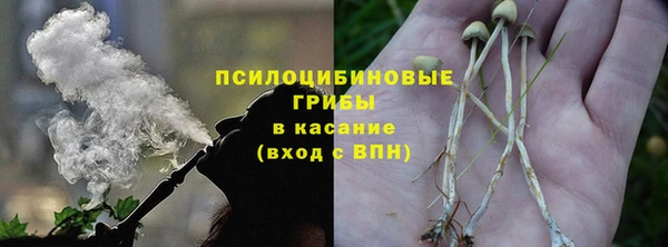 индика Арсеньев