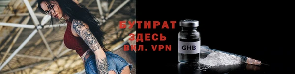 индика Арсеньев