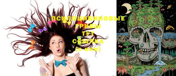 PSILOCYBIN Алзамай