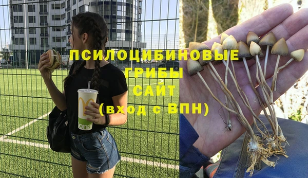 каннабис Алексеевка
